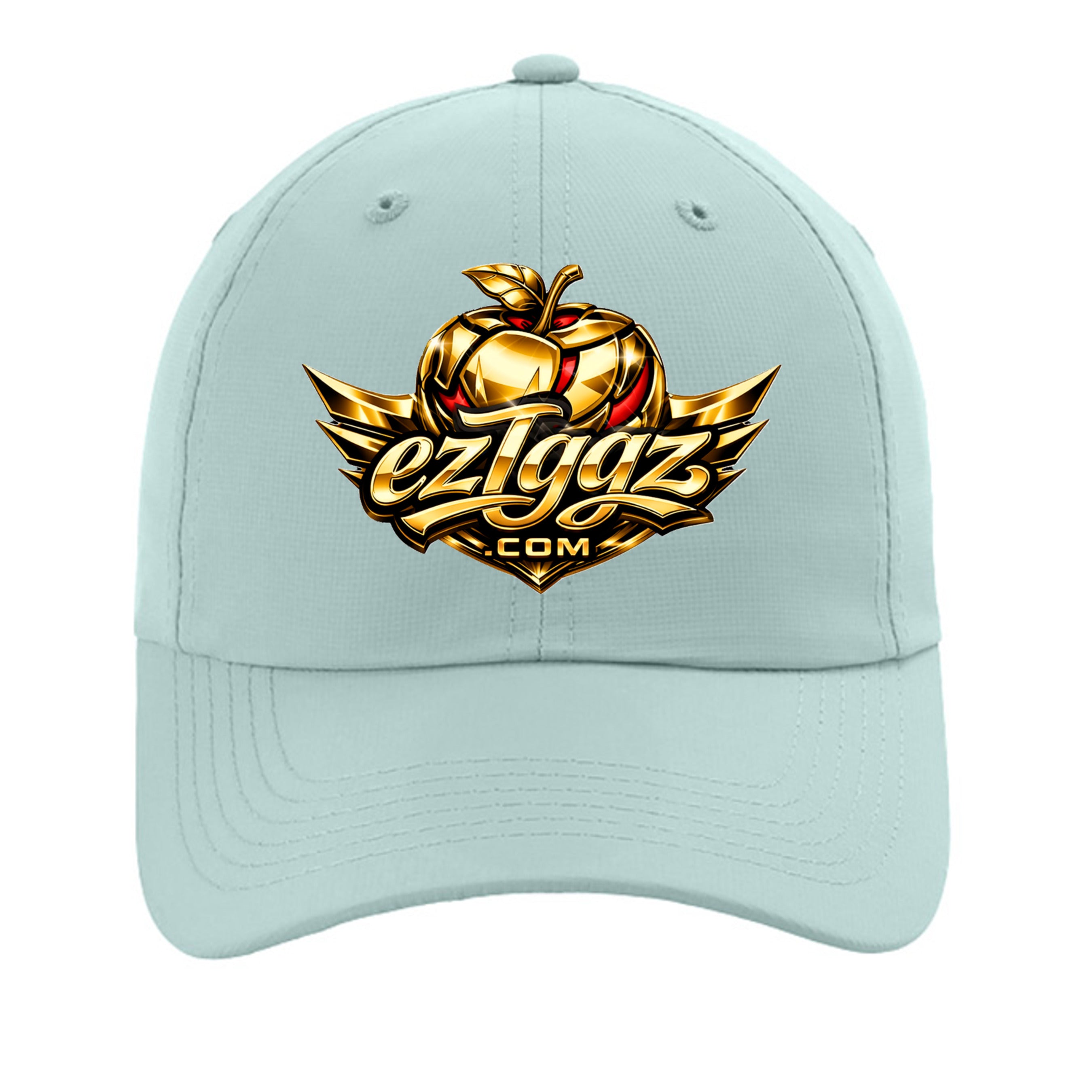Robins Egg - X210P - FRONT